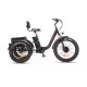 ZT-80A Trailer - Elektrický trojkolesový bicykel